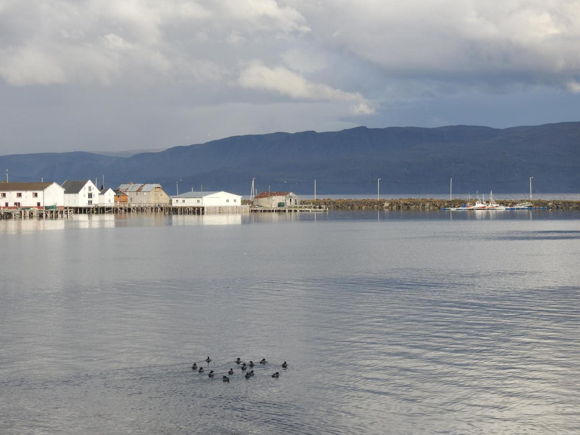 Kongsfjord Holiday Home Dış mekan fotoğraf